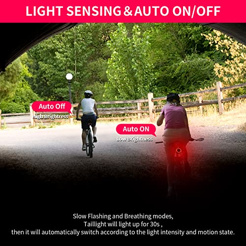 Bike Tail Light with Alarm, Rechargeable, Auto On/Off L2731