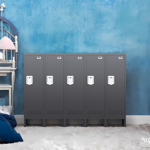 Metal Cabinet with Lockable Door for Office, Gym, School, Home A290