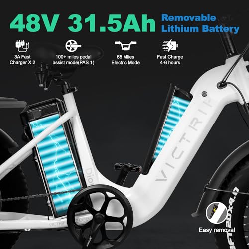 Electric Trike for Adults 750W 20" Fat Tire 3-Wheel Bicycle with Large Basket E5009
