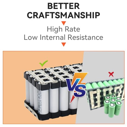 Ebike Battery Pack with Fast Charger and BMS H164100