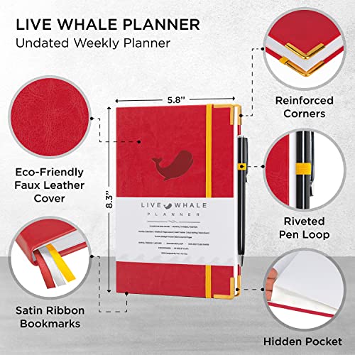 Undated Weekly Planner with Monthly Productivity Journal, Habit Tracking and Gratitude Journaling F136