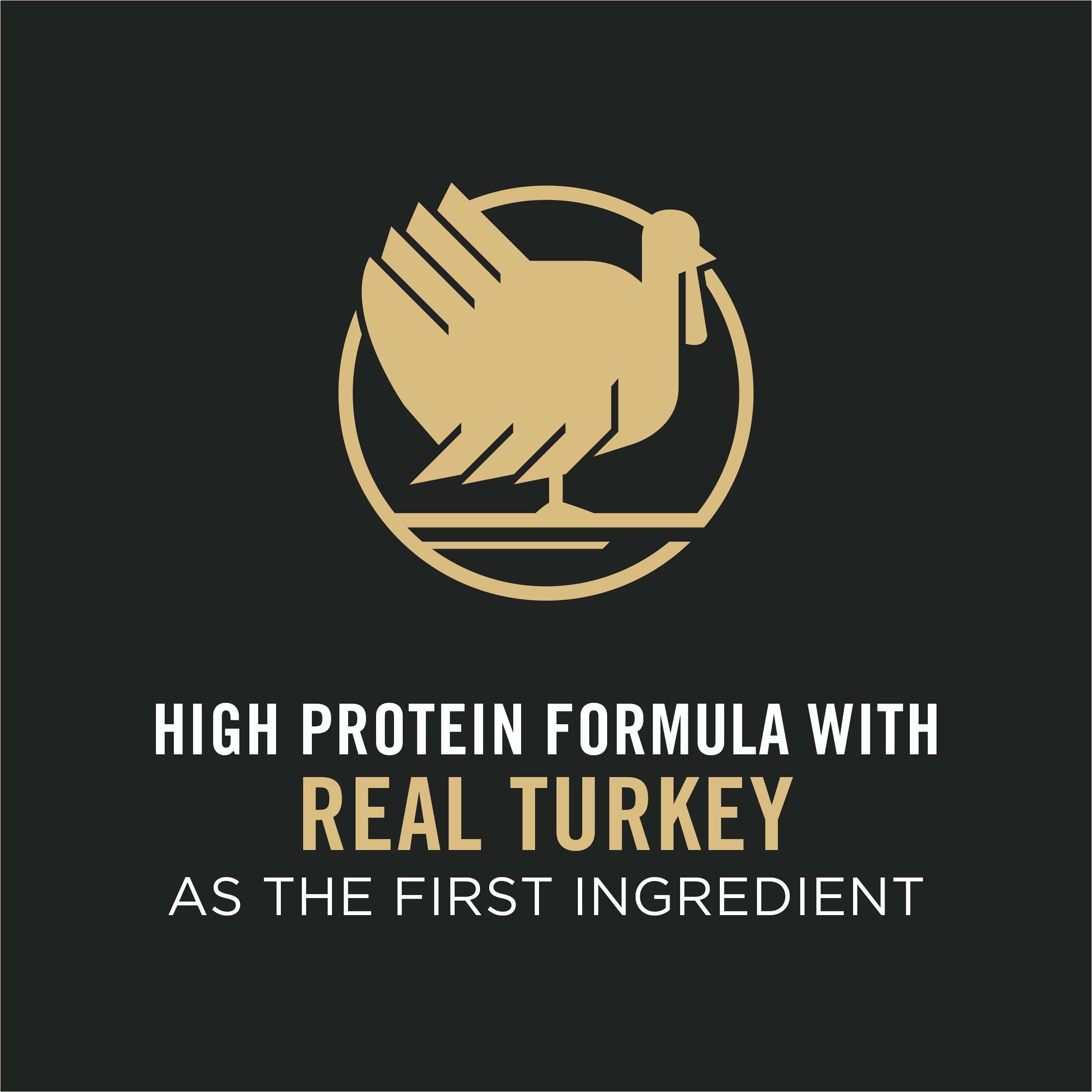 Shredded Turkey & Rice High Protein Dog Food with Probiotics, 33 lb. Bag W5995