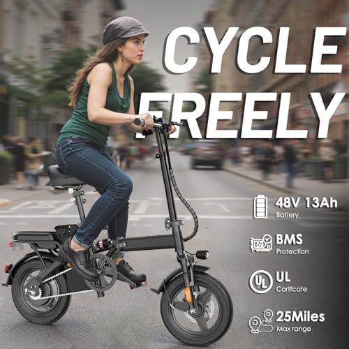 Folding Electric Bike for Adults, 500W Motor, 48V 10Ah Removable Battery O63860