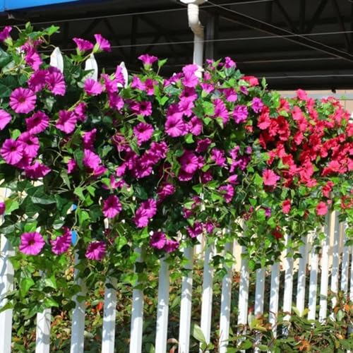 UV Simulation Artificial Morning Glories Outdoor Flowers M437998