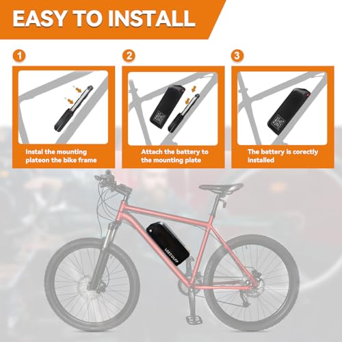 Ebike Battery Pack with Fast Charger and BMS H164100