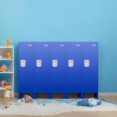 Metal Cabinet with Lockable Door for Office, Gym, School, Home A290