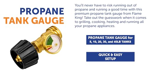20 lb Steel Propane Tank Cylinder with Type 1 Valve for Grills and BBQs J64752