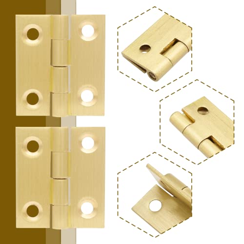 Brass Hinges M727