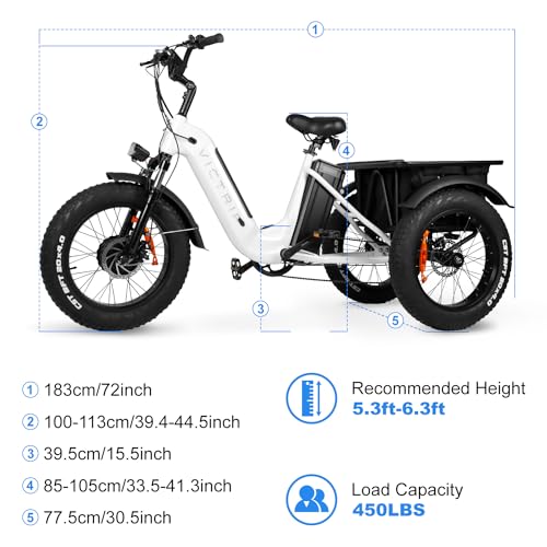 Electric Trike for Adults 750W 20" Fat Tire 3-Wheel Bicycle with Large Basket E5009