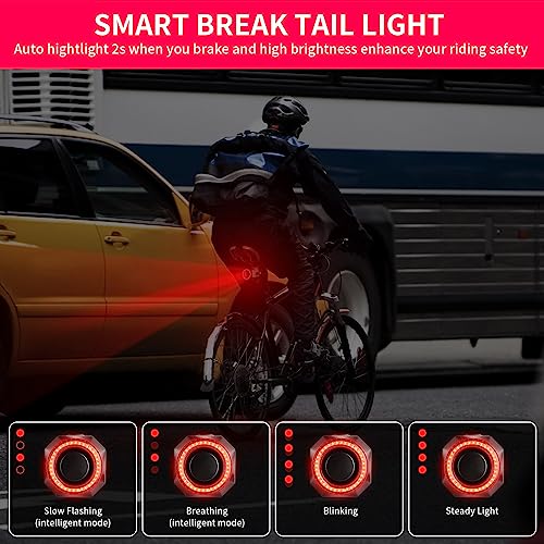 Bike Tail Light with Alarm, Rechargeable, Auto On/Off L2731