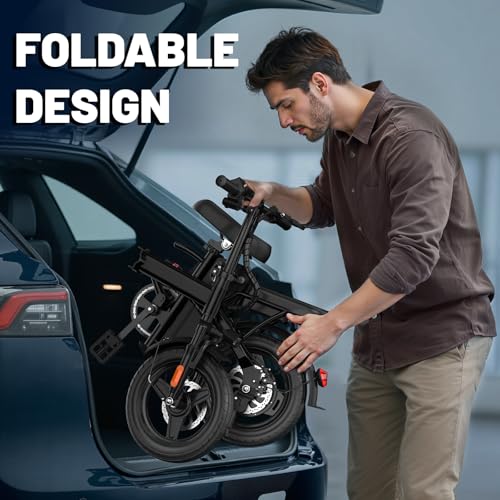 Folding Electric Bike for Adults, 500W Motor, 48V 10Ah Removable Battery O63860