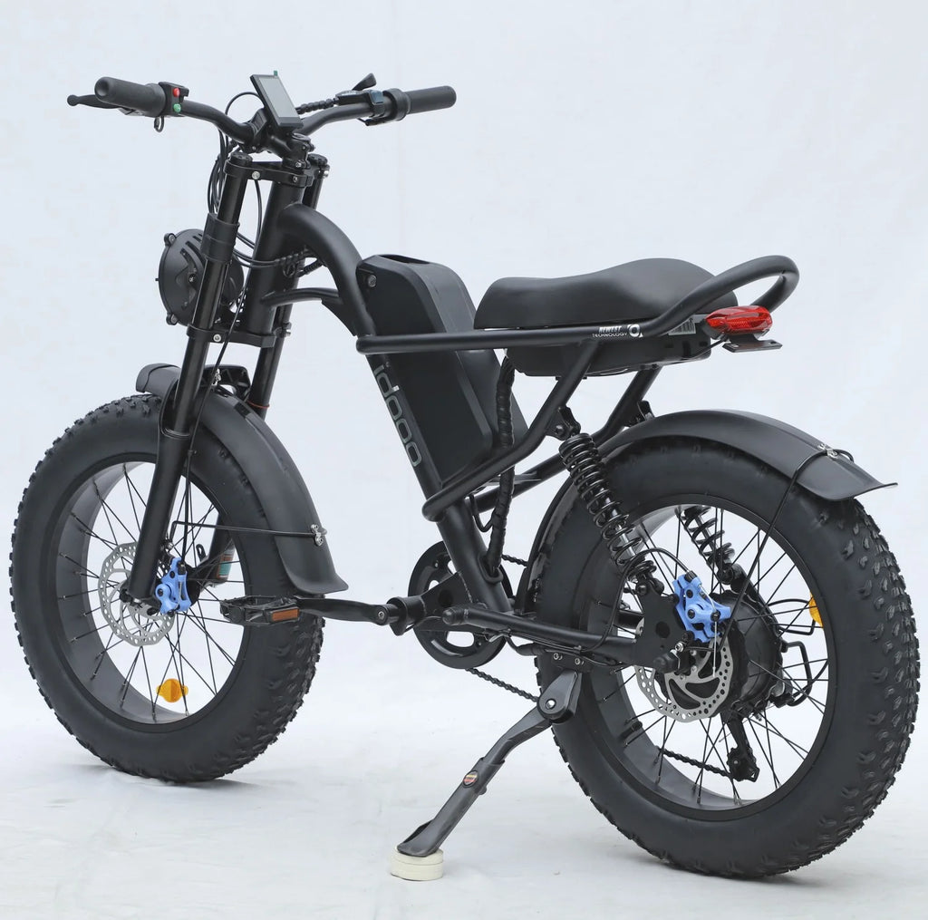 Electric Bike for Adults, 750W Motor, 48V Removable Battery I781912