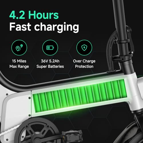Folding Electric Bike 450W Peak Motor 16MPH 12" Pneumatic Tires J6416