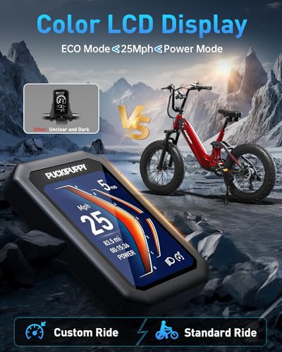 Electric Bike for Adults, 1000W Motor, 48V 20Ah Battery, 20" Fat Tire, Full Suspension U54489