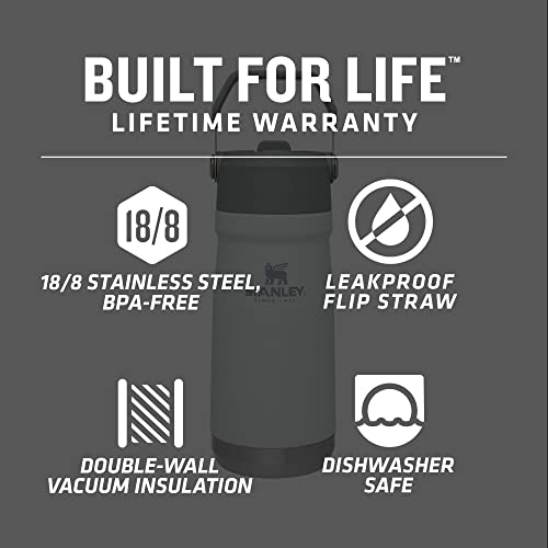 Insulated Stainless Steel Water Bottle with Straw, 16-50 oz N9528