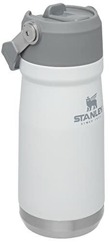Insulated Stainless Steel Water Bottle with Straw, 16-50 oz N9528