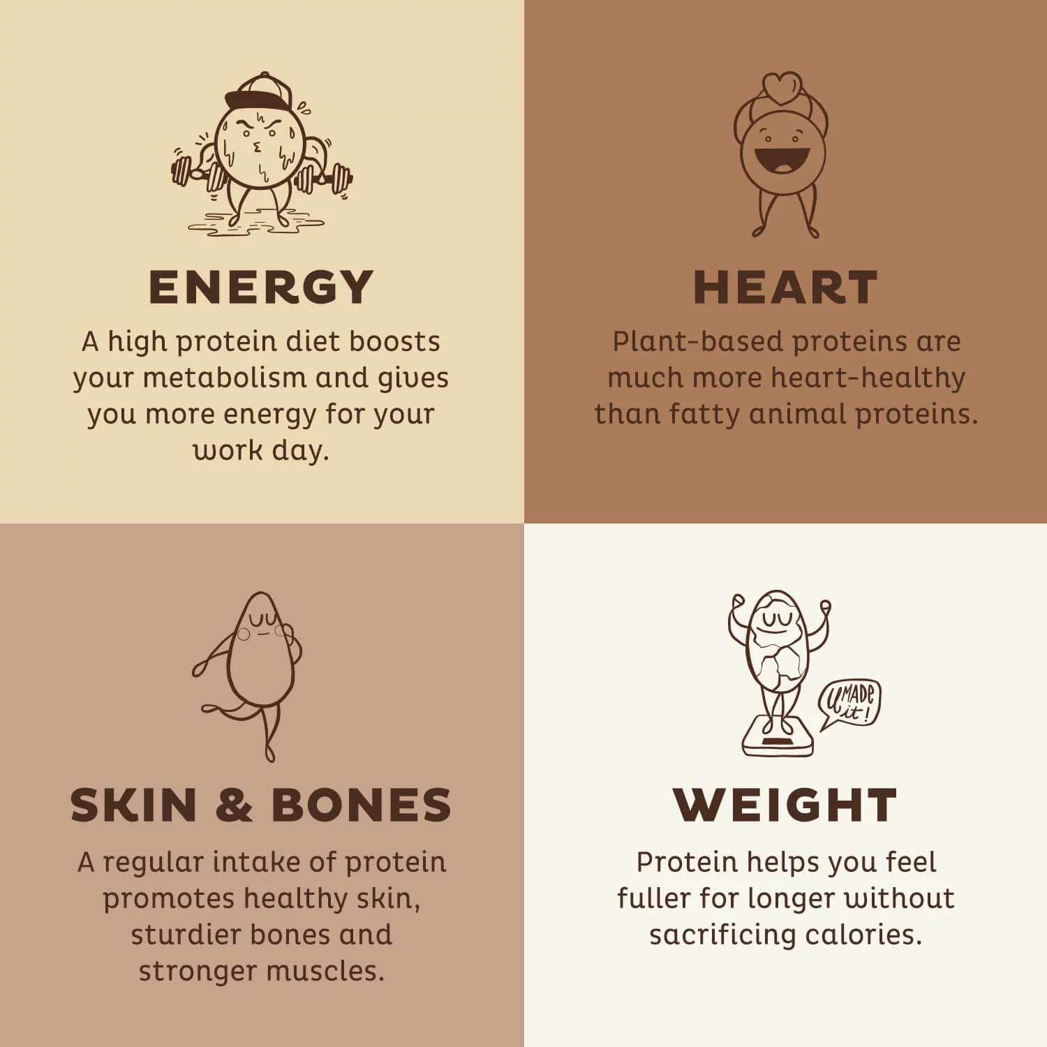 Vegan Protein Powder Chocolate, Organic Pea Protein Blend, Plant Based M725276