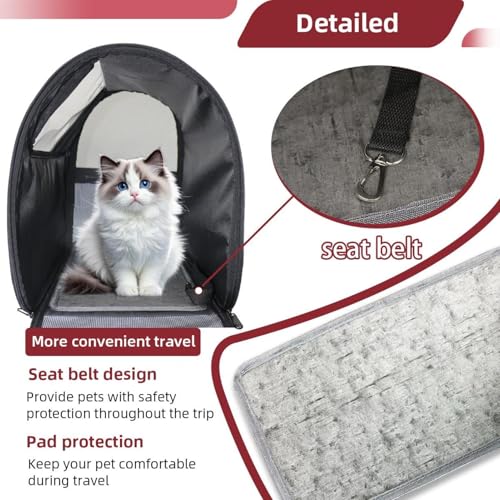 Halloween Pet Carrier Airline Approved for Small Medium Dogs Cats S688252