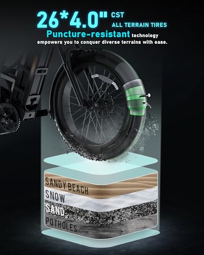 Adult Electric Bike 1200W Dual Motor Fat Tire Long Range S49708