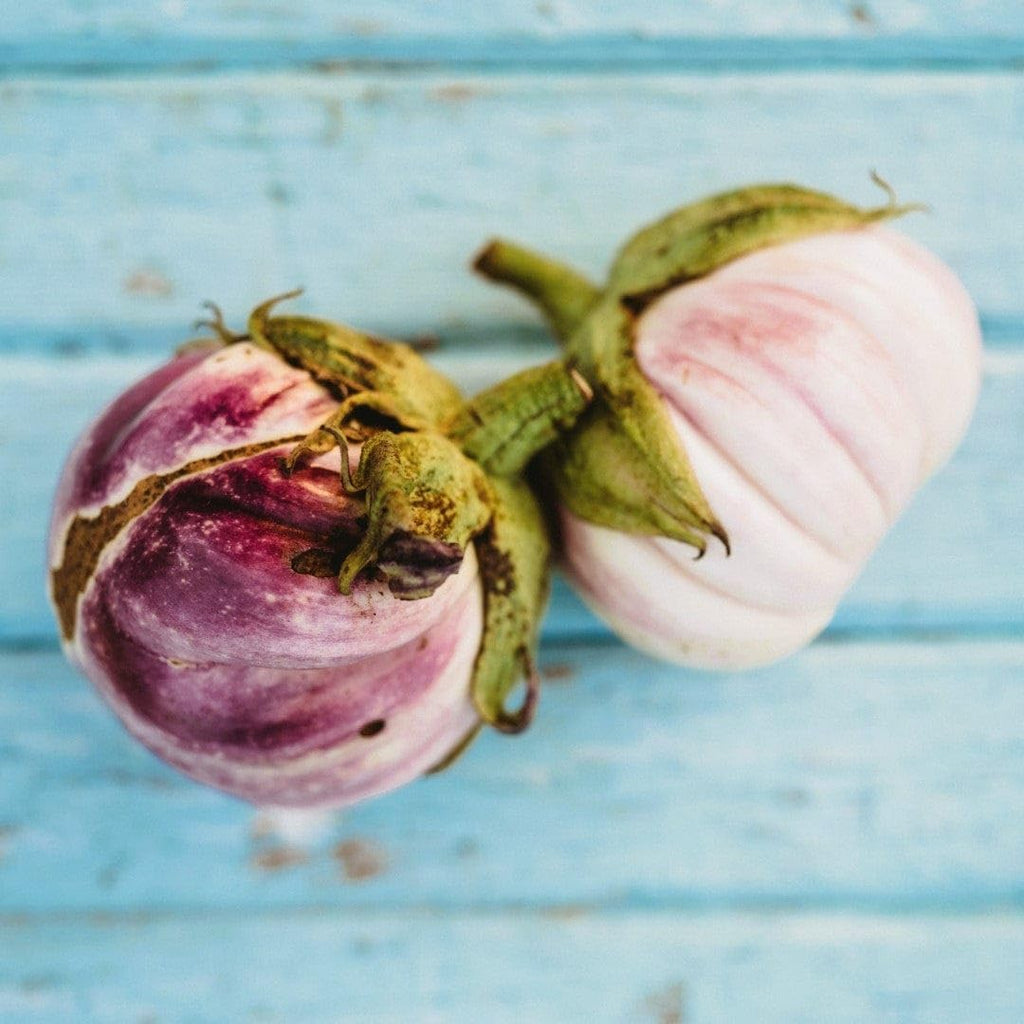 Italian Eggplant Seeds - 25 Seeds - Purple & White Heirloom Variety D47648