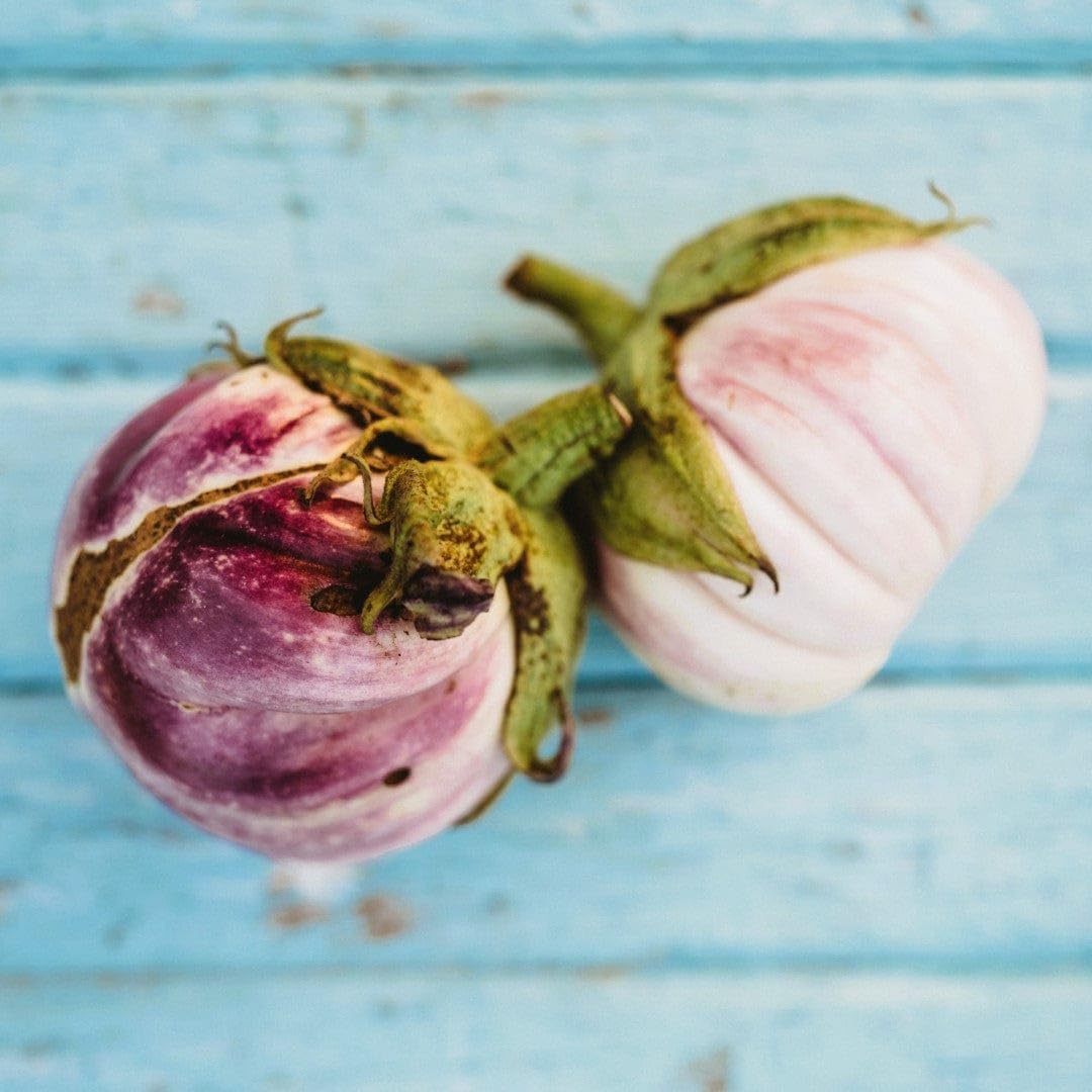 Italian Eggplant Seeds - 25 Seeds - Purple & White Heirloom Variety D47648