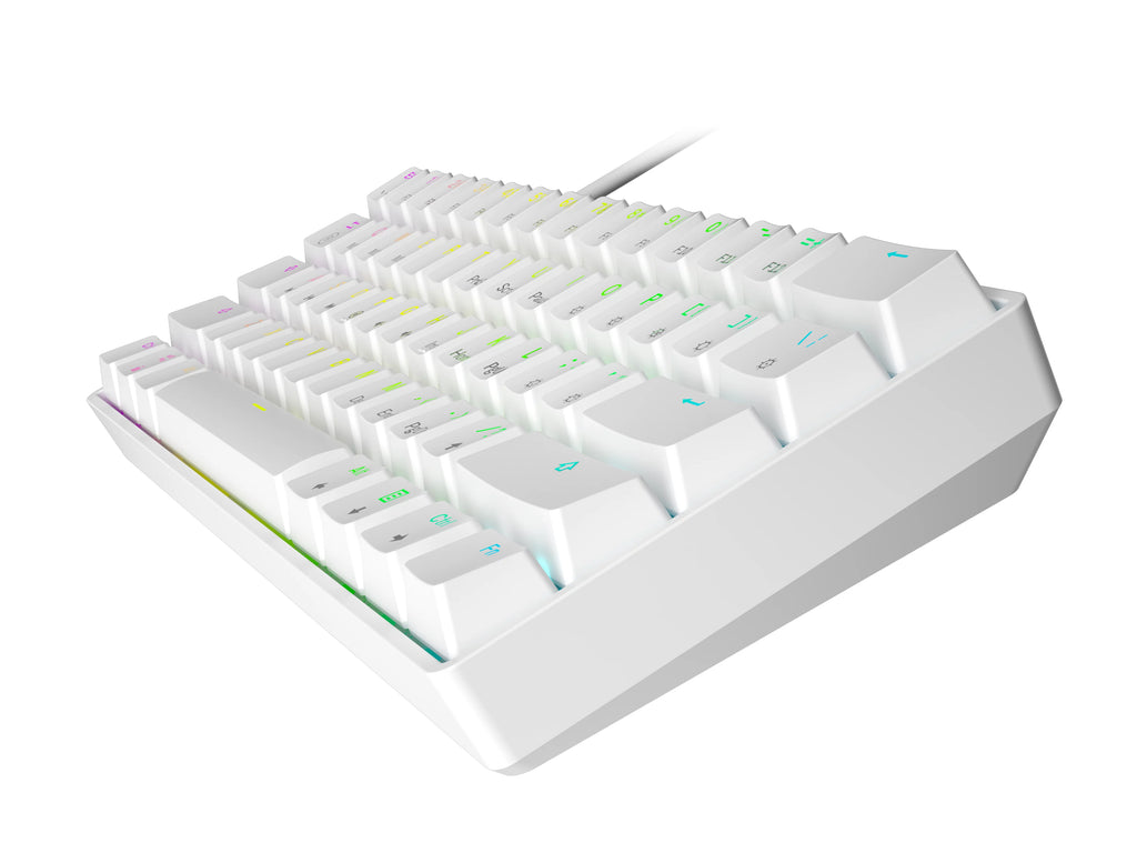 61 Keys RGB Backlit Mechanical Gaming Keyboard for PC/Mac T6639