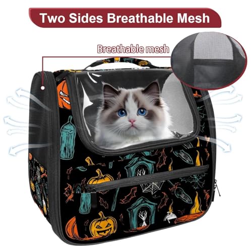 Halloween Pet Carrier Airline Approved for Small Medium Dogs Cats S688252