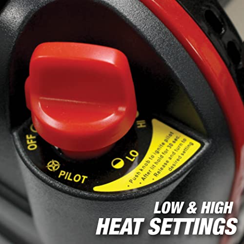 Portable Propane Radiant Heater, 4,000-9,000 BTU Indoor-Safe N260348