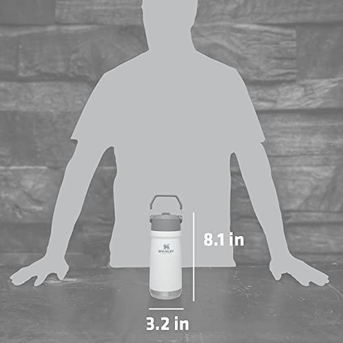 Insulated Stainless Steel Water Bottle with Straw, 16-50 oz N9528