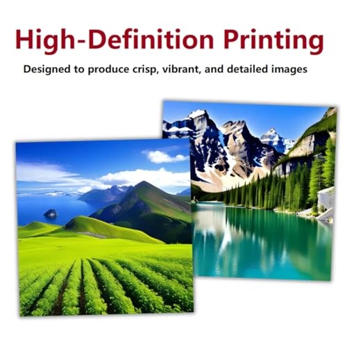 DTF T-Shirt Printer with Ink and Powder for Heat Transfers D276