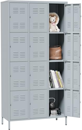 Vintage Metal Locker with Hooks, Lockable Single Door Storage M901