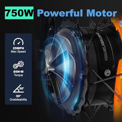 Electric Trike for Adults 750W 20" Fat Tire 3-Wheel Bicycle with Large Basket E5009