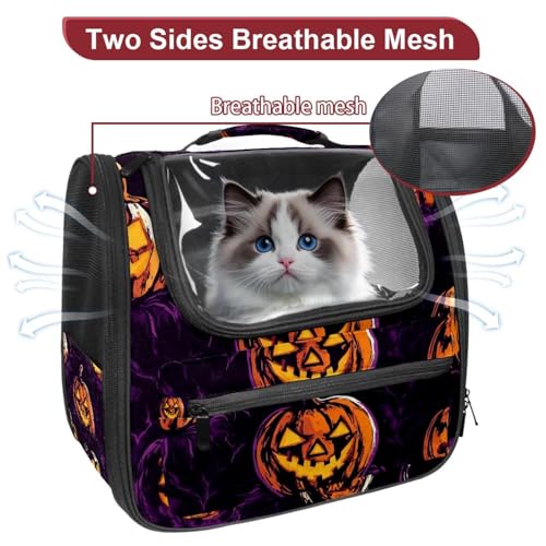 Halloween Pet Carrier Airline Approved for Small Medium Dogs Cats S688252