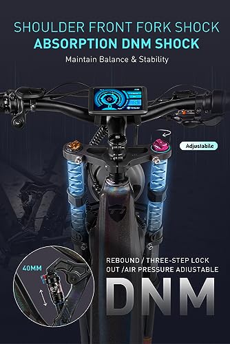 Electric Bike for Adults Fat Tire 750W 20AH Removable Battery 26 Inch Full Suspension E92138