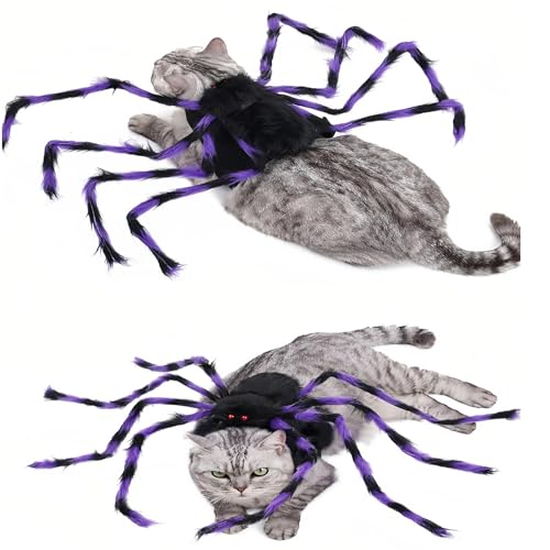 Halloween Spider Pet Costume for Cats & Dogs, Adjustable Velcro Harness, Black & Purple, Medium V62211