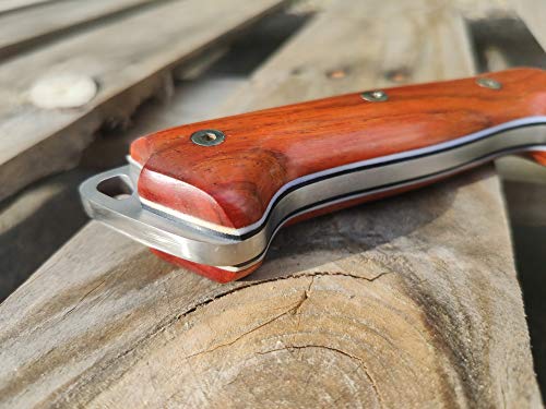 Fixed Blade Bushcraft Survival Knife, Full Tang 11" with Sheath G64128