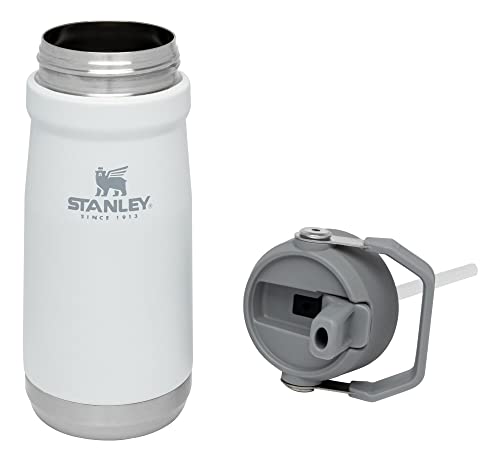 Insulated Stainless Steel Water Bottle with Straw, 16-50 oz N9528