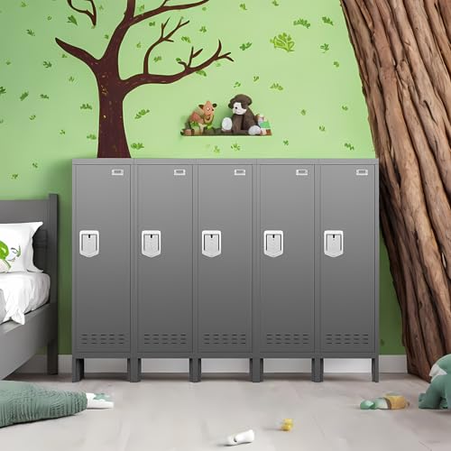 Metal Cabinet with Lockable Door for Office, Gym, School, Home A290