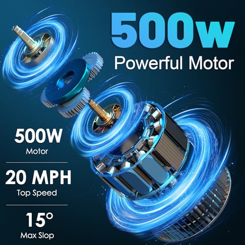 Folding Electric Bike for Adults, 500W Motor, 48V 10Ah Removable Battery O63860