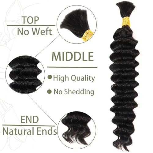 Human Braiding Hair Bulk No Weft Unprocessed Virgin Hair Extensions Q325