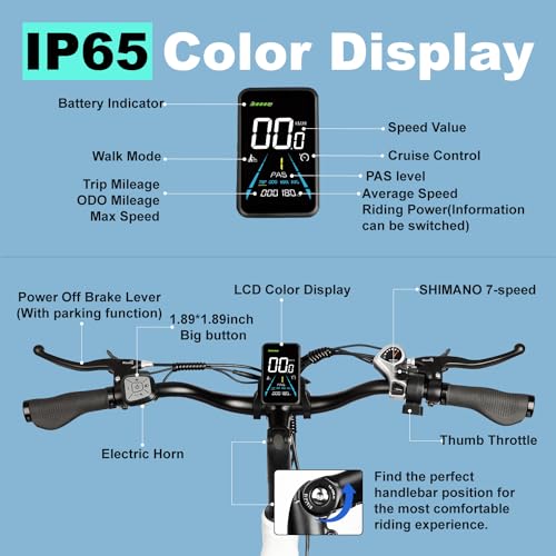 Electric Trike for Adults 750W 20" Fat Tire 3-Wheel Bicycle with Large Basket E5009
