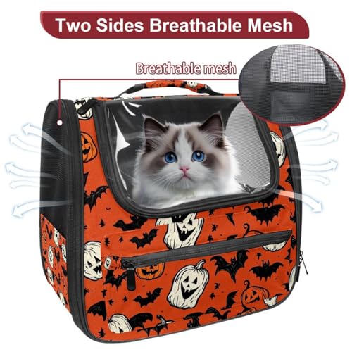 Halloween Pet Carrier Airline Approved for Small Medium Dogs Cats S688252