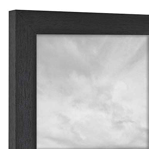 Gallery Frame V736