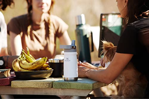Insulated Stainless Steel Water Bottle with Straw, 16-50 oz N9528