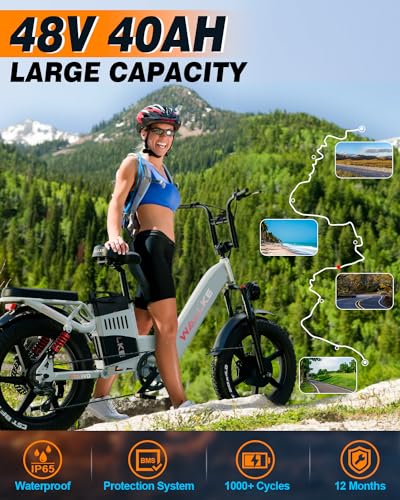 Electric Bike for Adults, 48V 40Ah Dual Motor, 20 Inch Fat Tire Full Suspension, Step Thru O992216