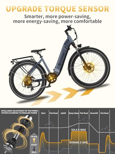 Electric Bike for Adults 1130W Motor, 48V 20AH Battery, 80 Miles Range, 27.5" Ebike X18509