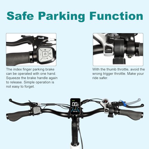 Electric Trike for Adults 750W 20" Fat Tire 3-Wheel Bicycle with Large Basket E5009